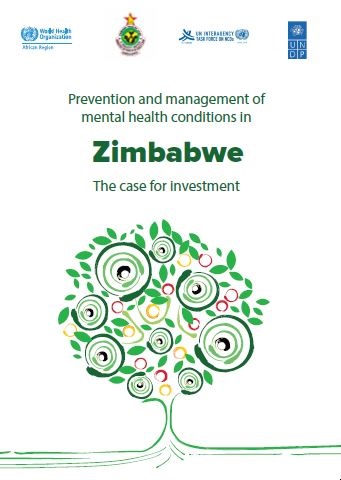 Investment case for Zimbabwe (1)