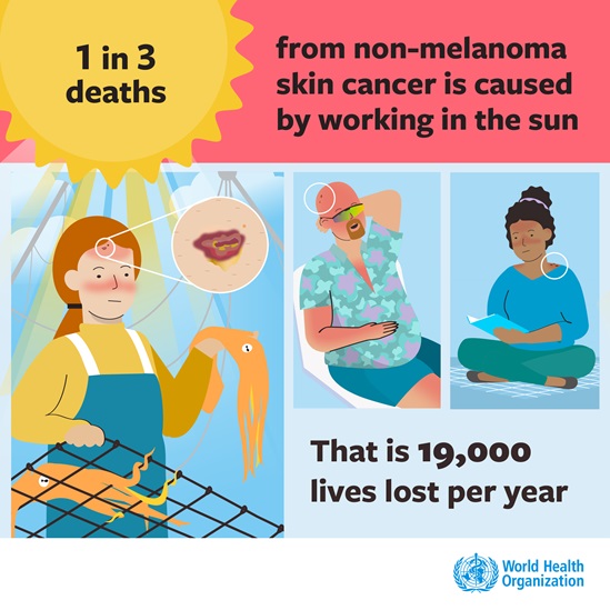1 in 3 deaths from non-melanoma skin cancer is caused by working in the sun