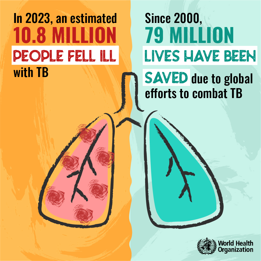 In 2023 10.8 Million People Fell Ill.  Since 2000 79 Million Lives Have Been Saved.