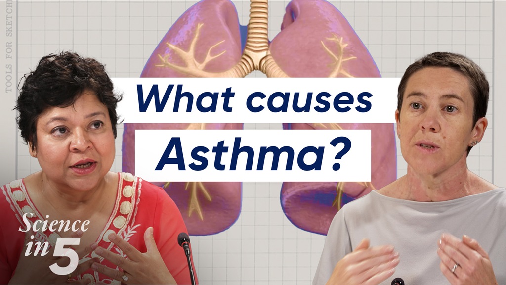 Science in 5 podcast - What causes asthma?