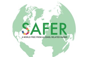 msb_safer_300