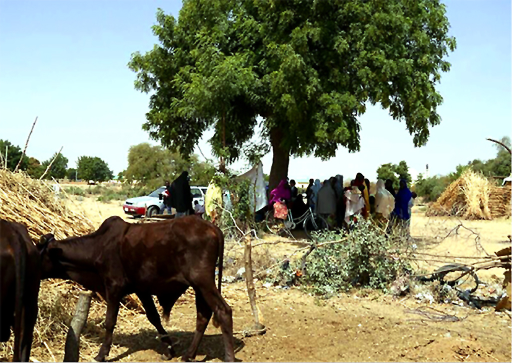 Mobile teams set-up make a makeshift clinic under the shade of trees.