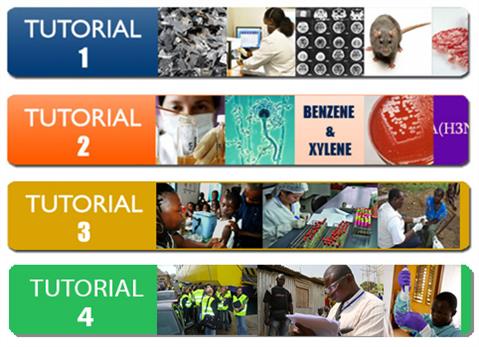 Tutorials on the use of Annex 2 of the International Health Regulations (2005)