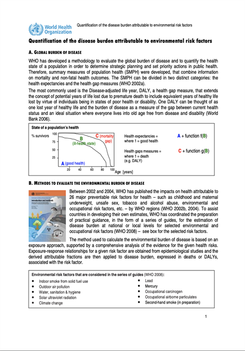 Quantification of the disease burden attributable to environmental risk factors