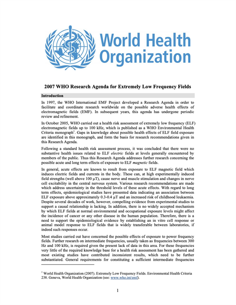 2007 WHO Research Agenda for Extremely Low Frequency Fields