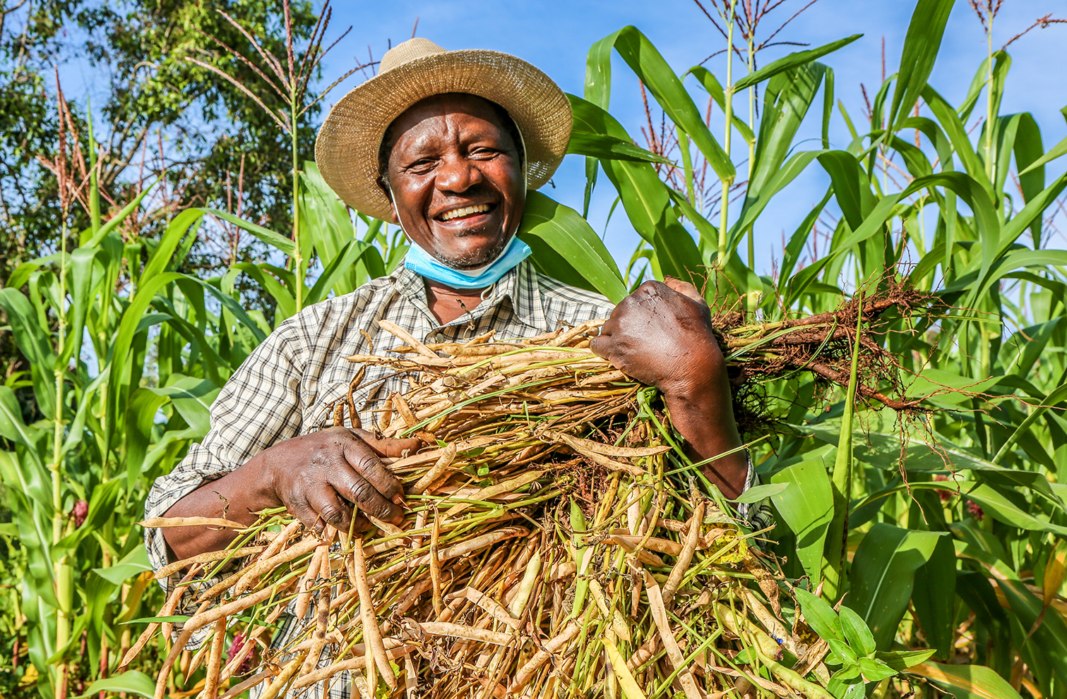 World No Tobacco Day 2023: Grow food, not tobacco Tobacco Farmer