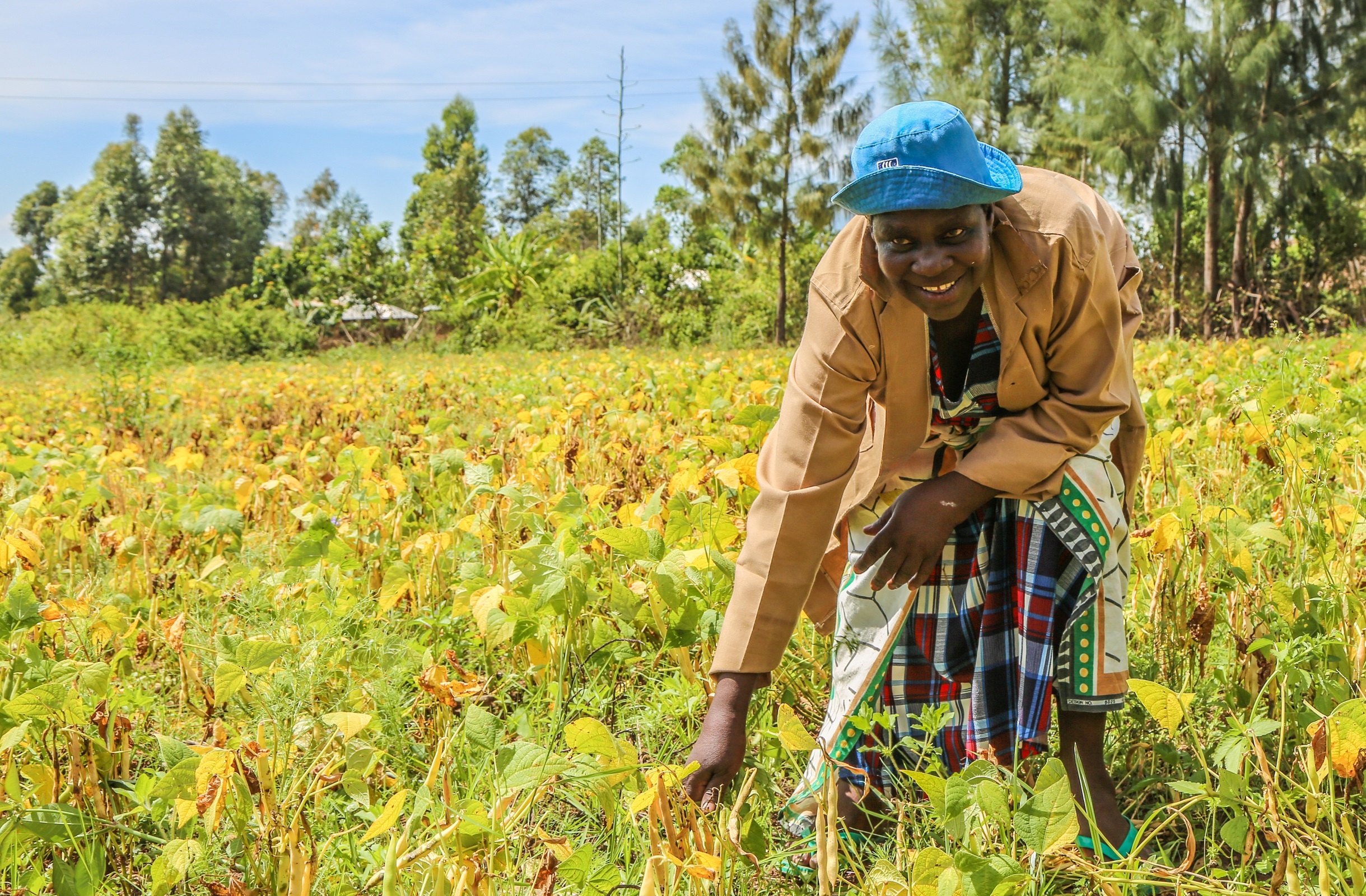 Tobacco free farming in Kenya - Alice Achieng Obare A woman working the the fields - in Kenya