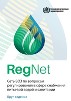 RegNet terms of reference cover picture in russian