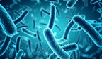 Picture of Escherichia coli