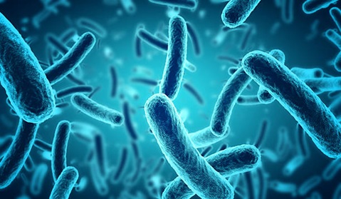 Top 10 drinking-water and sanitation related pathogens