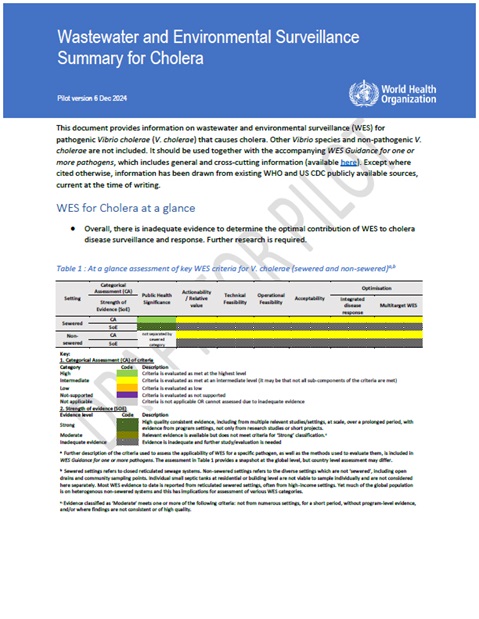 Wastewater and Environmental Surveillance: Summary for Cholera