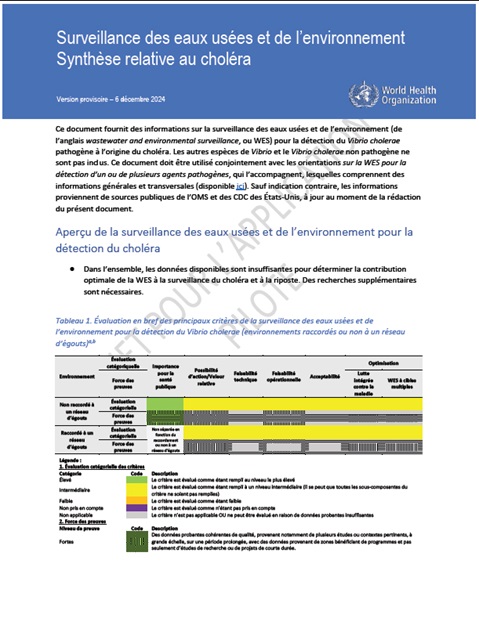 Surveillance des eaux usées et de l’environnement: synthèse relative au choléra