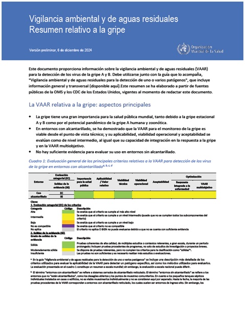 Vigilancia ambiental y de aguas residuales: Resumen relativo a la gripe