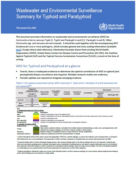 Wastewater and Environmental Surveillance: Summary for Typhoid and Paratyphoid