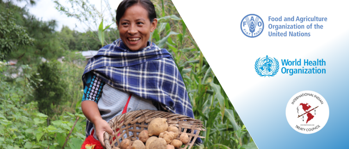 FAO/WHO Indigenous Peoples  questionnaire on pesticides officially launched