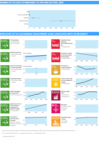 SDG indicators screenshot