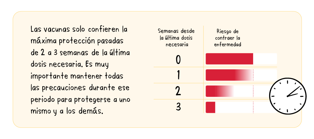 Protection de las vacunas contra la COVD-19
