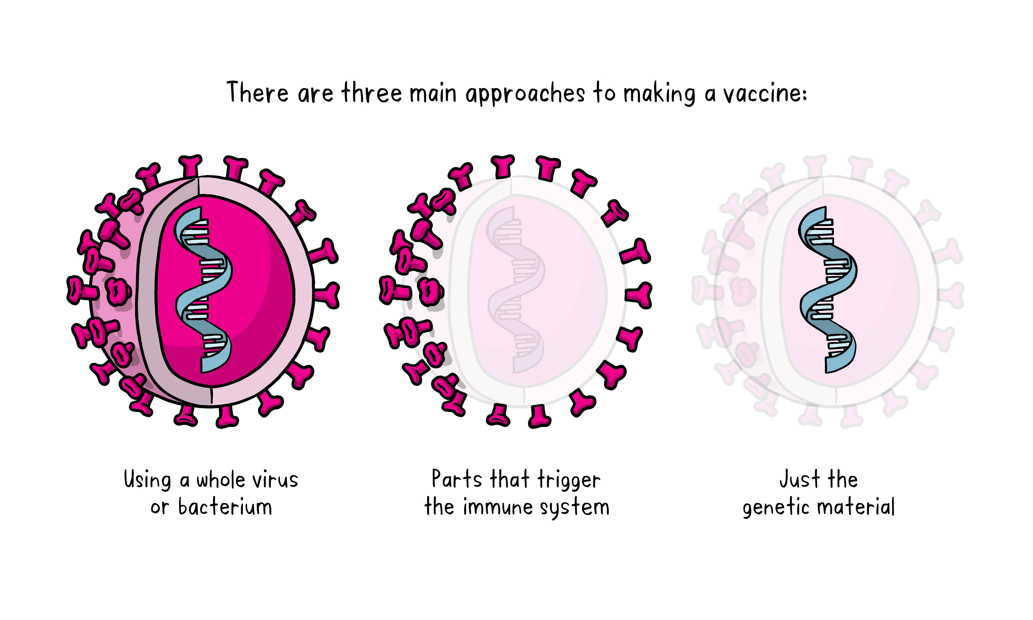 Vaccines Topics Four images working 01
