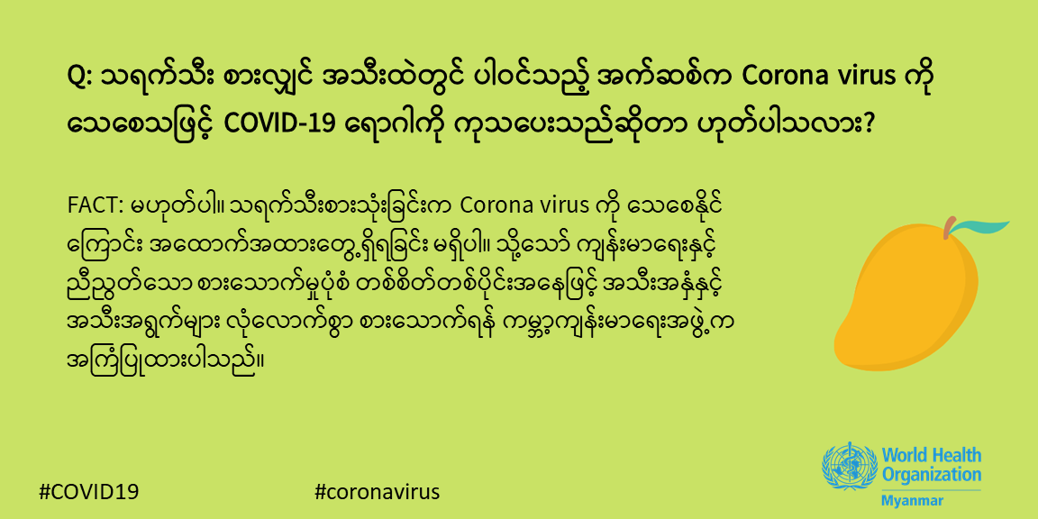 fact_mmr_33 fact_mmr_33