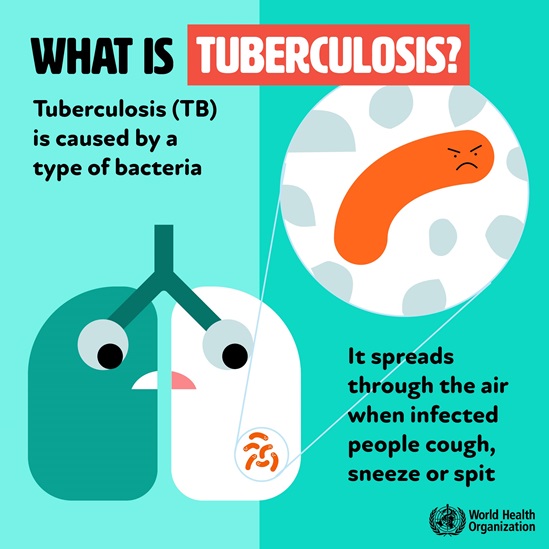 Graphic explaining what tuberculosis is, a disease caused by a type of bacteria