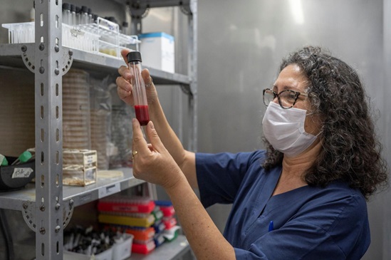 2021 Argentina: a biochemist holds a tube with sheep blood in the cooler room at an infectious disease institute in Buenos Aires