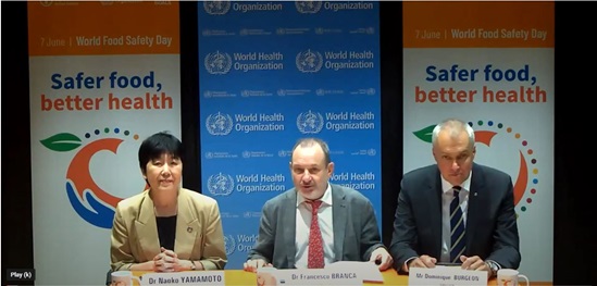 World Food Safety Day 2022 – WHO/FAO panel discussion “Safer food, better health” - 7 June 2022 video thumbnail