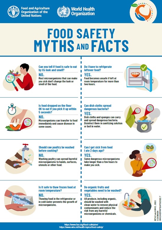 World Food Safety Day 2022 infographics