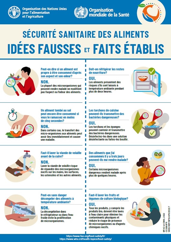 France World Food Safety Day 2022 infographics