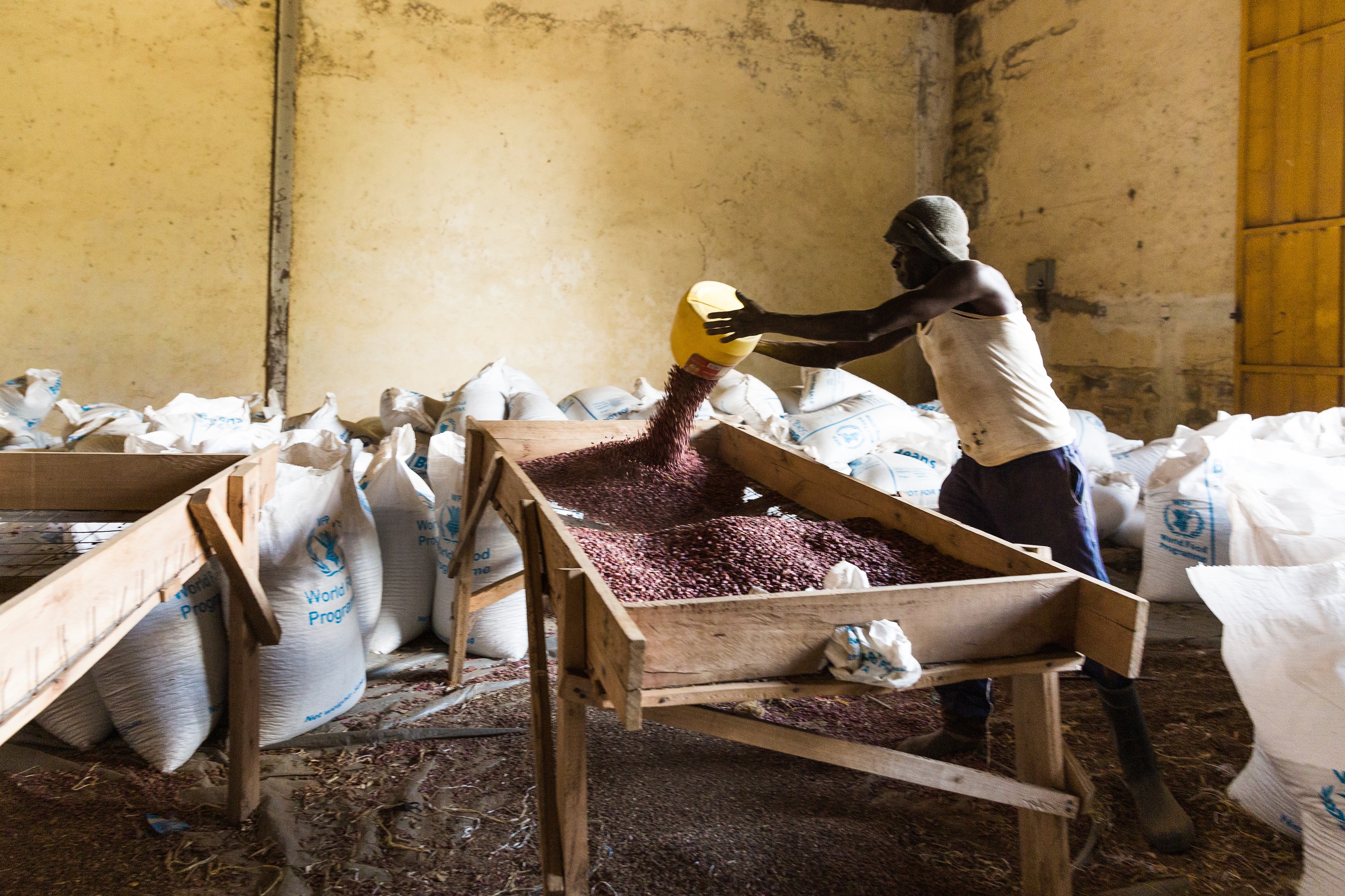 Agricultor de una explotación sin tabaco del condado de Migori (Kenya)
