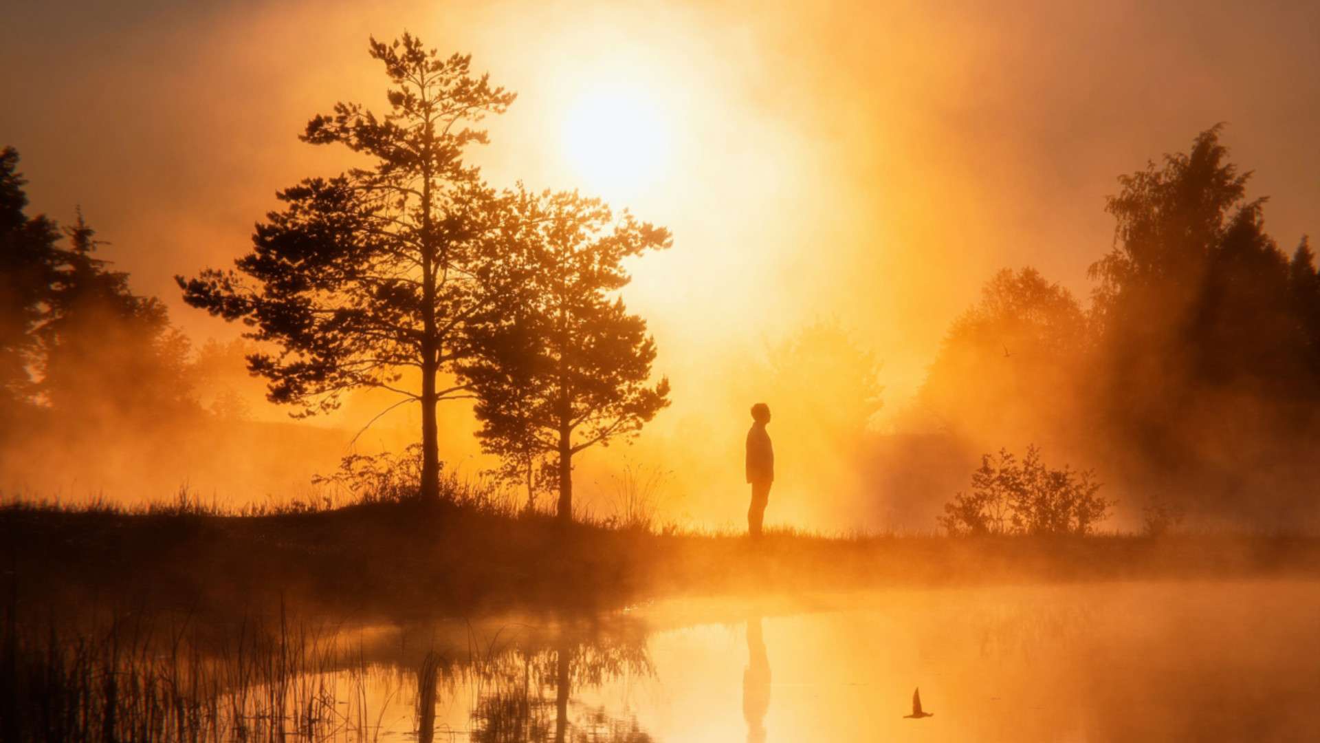 Eine Person steht in der Nähe eines Sees und beobachtet den Sonnenuntergang