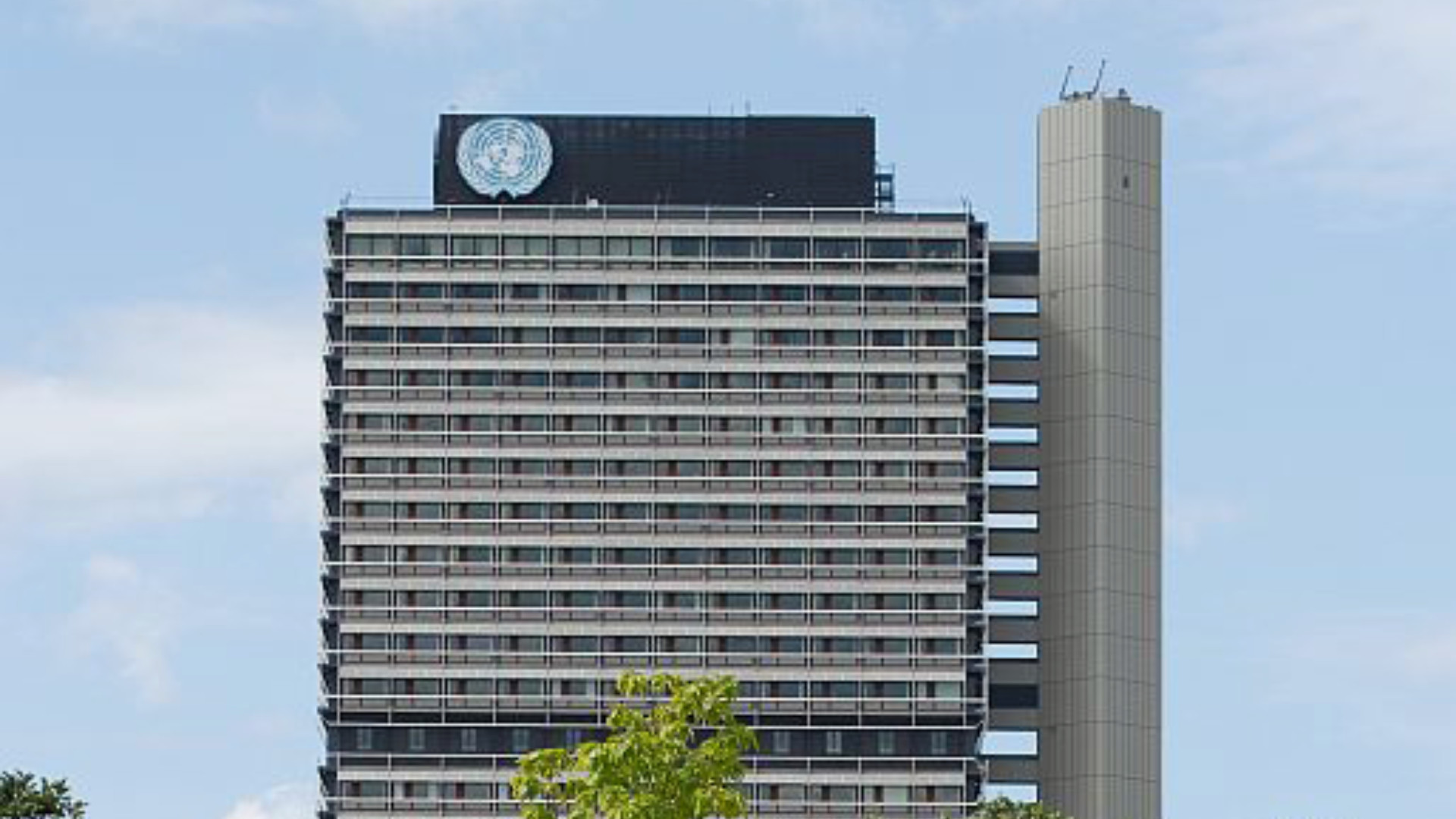 WHO Europäisches Zentrum für Umwelt und Gesundheit ECEH, Bonn, Deutschland