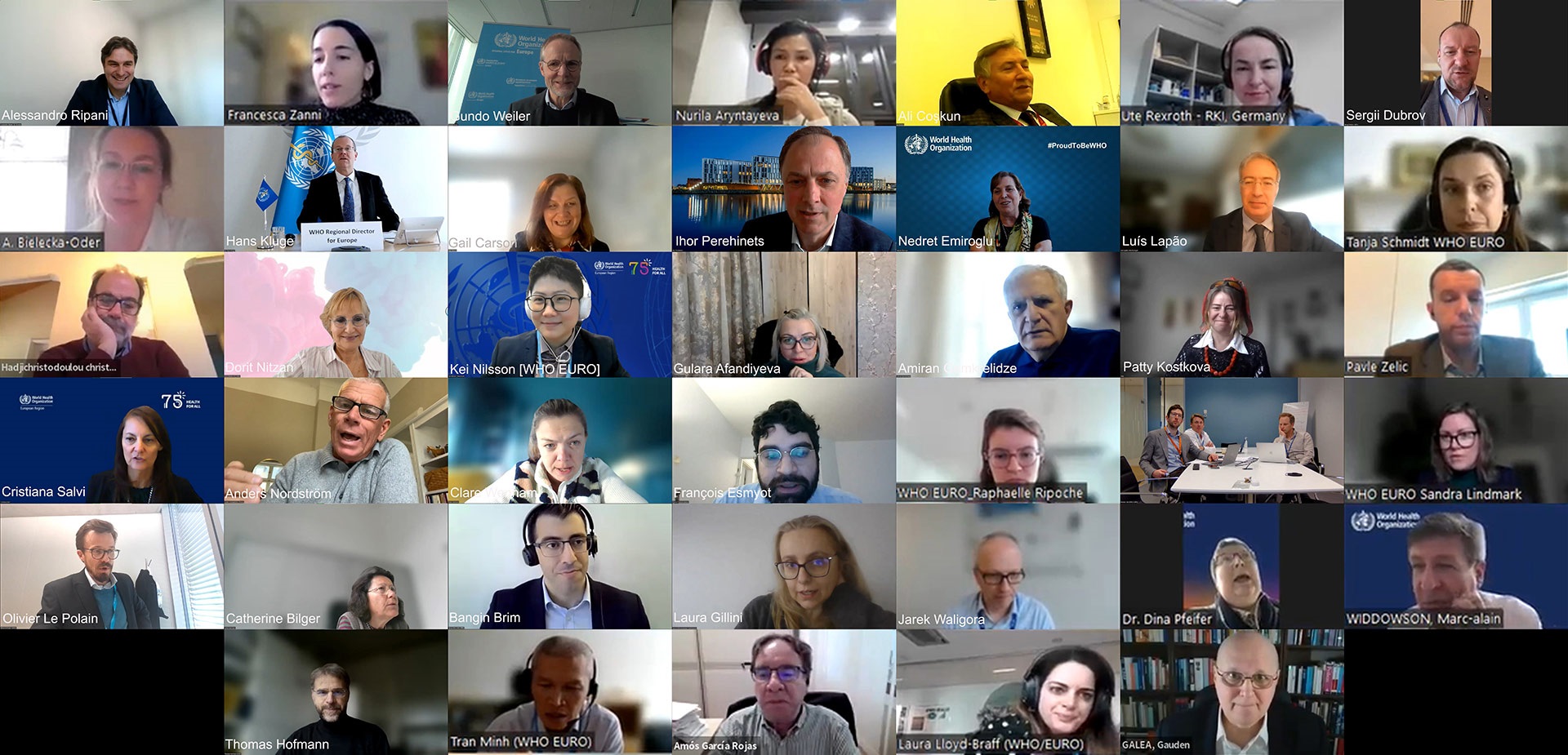 Collage of the meeting participants
