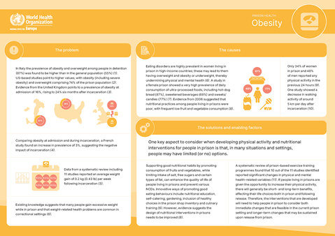 Factsheet - Prison health: Obesity (2022)