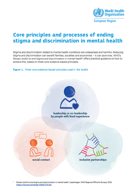 Core principles and processes of ending stigma and discrimination in mental health