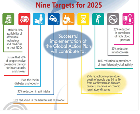 NCD Global Action Plan