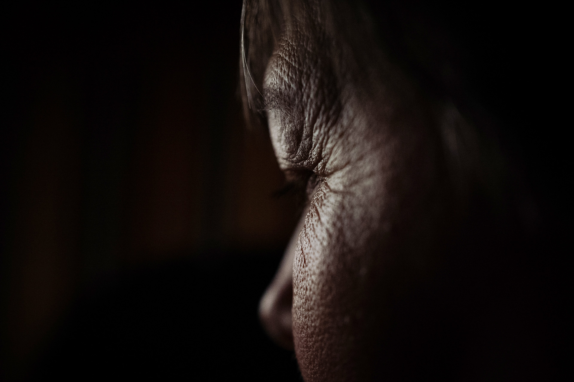 Profil eines Frauengesichts, als Silhouette und im Schatten.