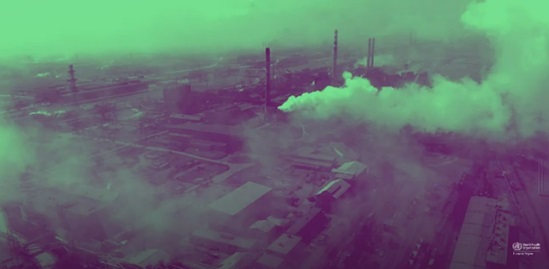 Tackling the “triple environmental crisis” and building forward from the COVID-19 pandemic